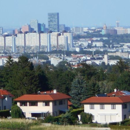 Top Over Vienna, Perchtoldsdorf Weinberge Ideal With Car Apartman Kültér fotó