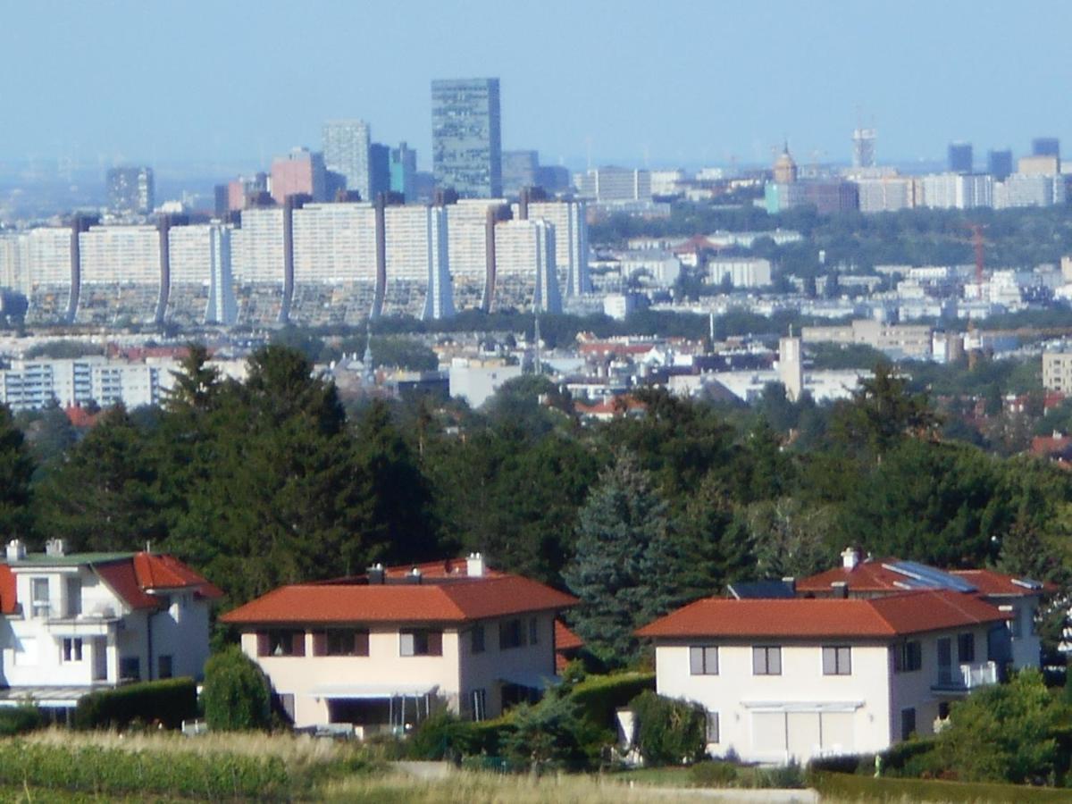 Top Over Vienna, Perchtoldsdorf Weinberge Ideal With Car Apartman Kültér fotó